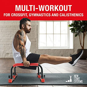 25 Best Calisthenics Parallettes for Everyone: Beginners, Cheap, DIY,  Expert, and More – A BROTHER ABROAD
